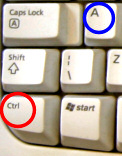 Ctrl +A